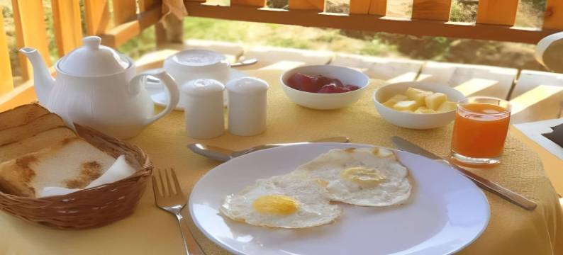 贾瓦里豹野生动物园小屋(Jawai Leopard Safari Lodge)图片