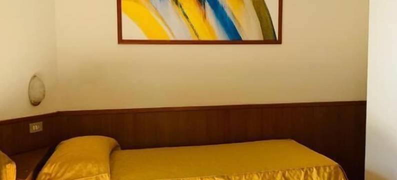 圣西罗菲耶拉酒店(Hotel San Siro Fiera)图片