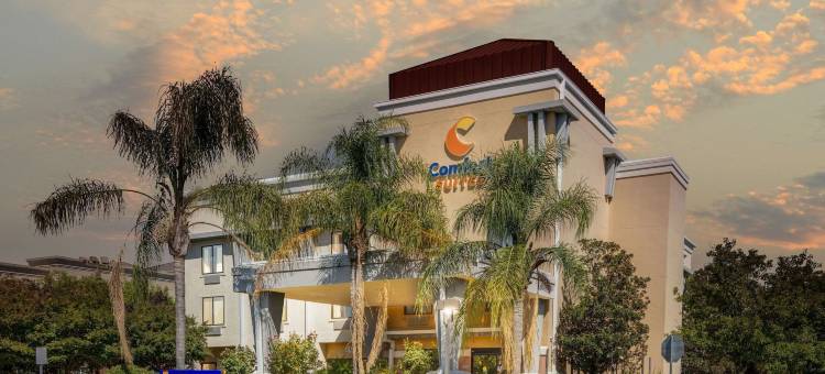 瓦卡拉维尔 - 纳帕谷舒适套房酒店(Comfort Suites Vacaville-Napa Valley Area)图片