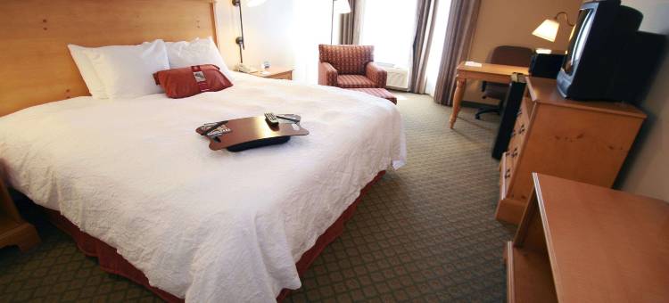 亚特兰大-德卢斯-格威内特县欢朋套房酒店(Hampton Inn & Suites Atlanta/Duluth/Gwinnett County)图片