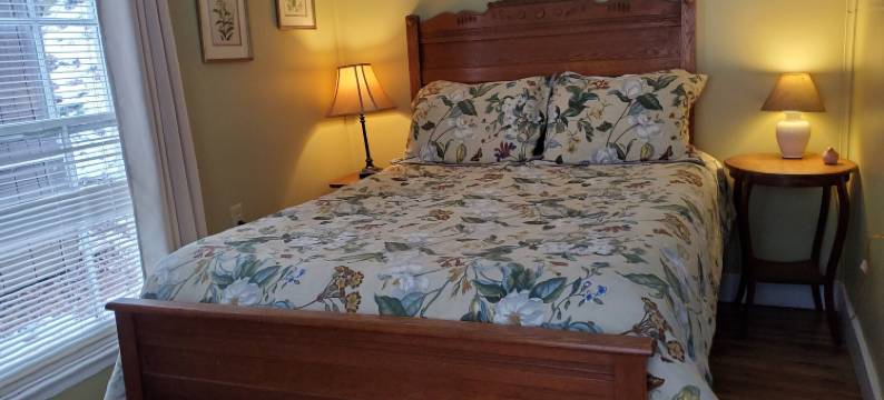 疗愈水泉小屋(The Cabins at Healing Springs)图片