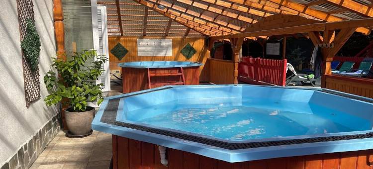 苏拉格提洛尔阿里尼斯小屋酒店(Cabana Sura Getilor Arinis)图片