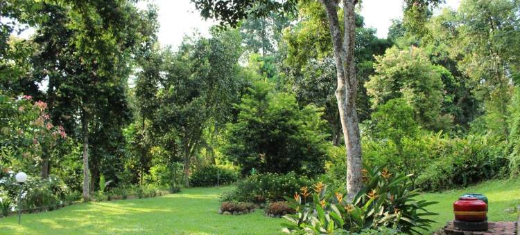 武吉拉旺经济小屋(Ecolodge Bukit Lawang - Hotel&Jungletrek)图片