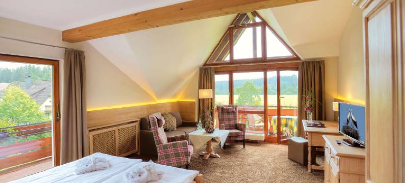 格鲁纳森林酒店(Hotel Grüner Wald)图片