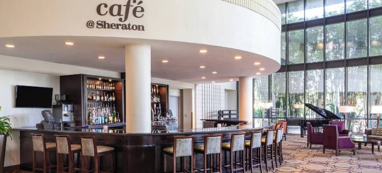喜来登坦帕布兰登酒店(Sheraton Tampa Brandon Hotel)图片