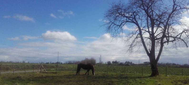 珍内特康帕尼酒店(Jeanne et Compagnie)图片