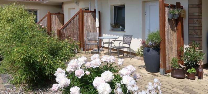 瓦尔梅尔膳宿公寓(Pension Walmeer)图片