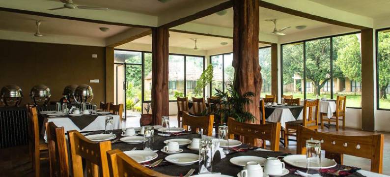 走进自然生态度假村(Into the Wild Eco Resort)图片