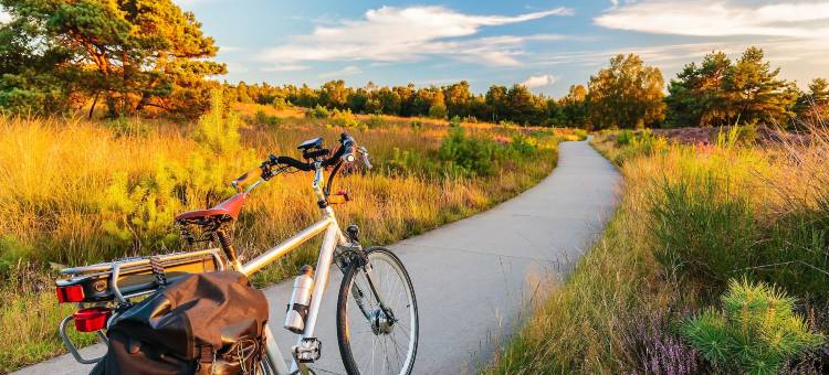 法兰斯哈尔斯阿姆拉斯大酒店(Amrâth Grand Hotel Frans Hals)图片