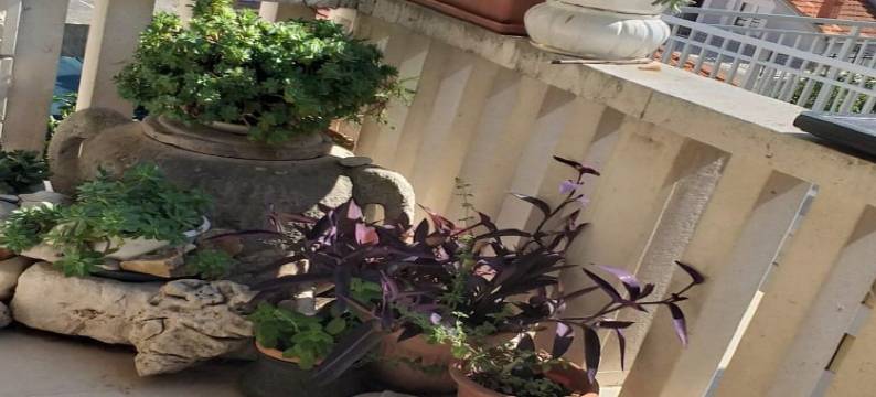 蒂娜公寓(Apartment Tina)图片