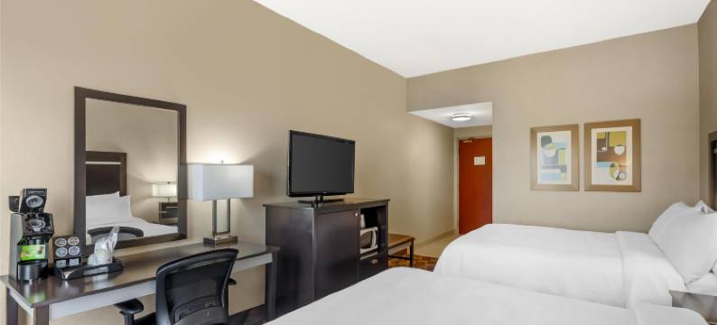 多伦多机场旅行贝斯特韦斯特优质酒店(Best Western Plus Travel Hotel Toronto Airport)图片