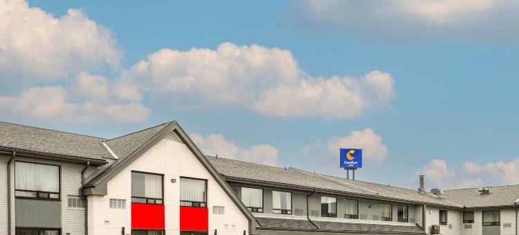 舒适酒店(Comfort Inn)图片