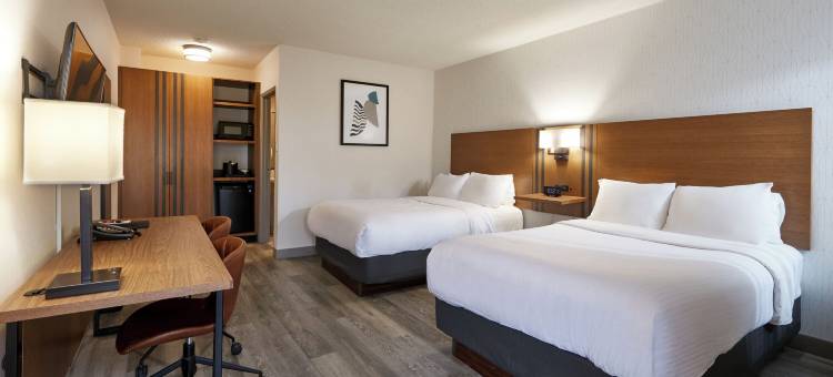 多伦多加拿大最佳价值酒店(Canadas Best Value Inn Toronto)图片