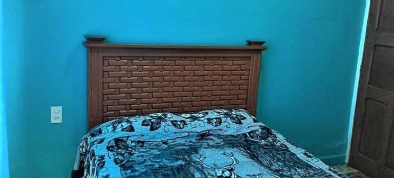 科拉斯克考乐尼奥酒店(Hotel Clasico Colonial)图片