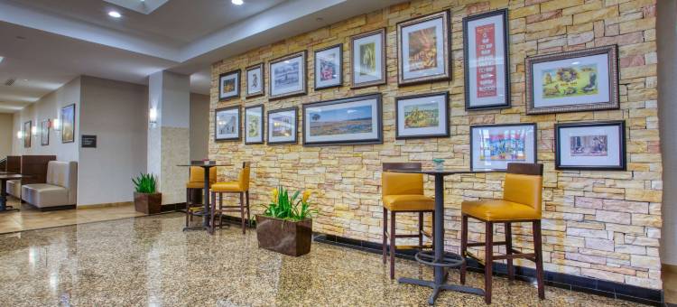 圣安东尼奥-拉坎特拉德鲁里套房酒店(Drury Inn & Suites San Antonio Near la Cantera)图片