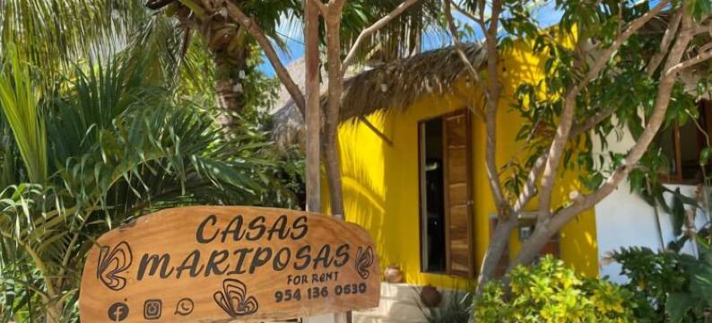 奥哈卡的蝴蝶之家(Casa Mariposa Oaxaca)图片