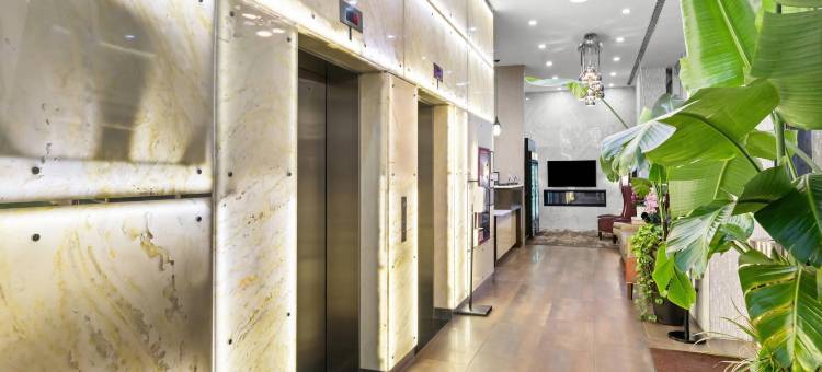 布鲁克林展望公园舒适酒店(Comfort Inn Prospect Park-Brooklyn)图片