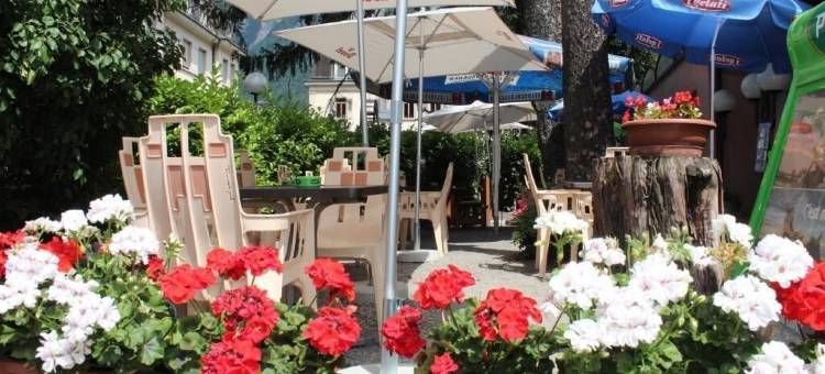 拉登杜米迪酒店(La Dent-Du-Midi Hôtel & Restaurant)图片