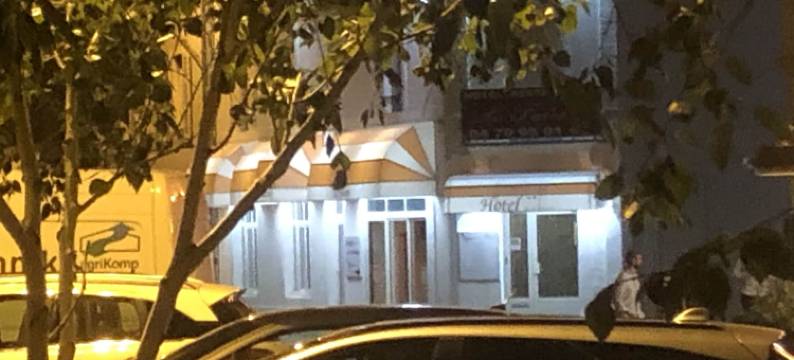 弗桑酒店(Hôtel le Faisan)图片