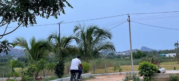 幸福农场住宿-茉莉(Bliss Farm Stay-Jasmine)图片