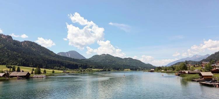 阿列古斯塔(Alie Gusta)图片