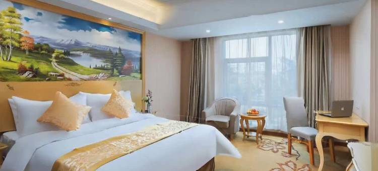 维也纳酒店(南京奥体中心店)图片