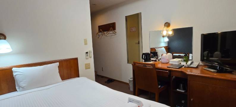 大分阿里斯顿酒店(Natural Hot Spring Ariston Hotel Oita)图片