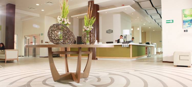 阿瓜斯卡连特斯机场希尔顿欢朋套房酒店(Hampton Inn & Suites by Hilton Aguascalientes Airport)图片