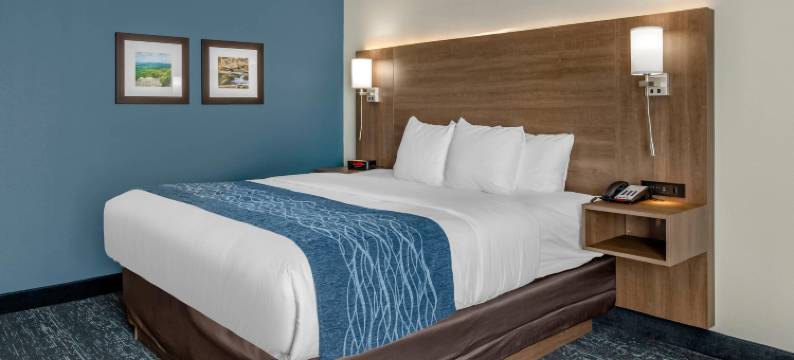 舒适套房酒店(Comfort Inn & Suites Troutville - Roanoke North - Daleville)图片