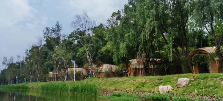 鸟语林·栖湖民宿图片