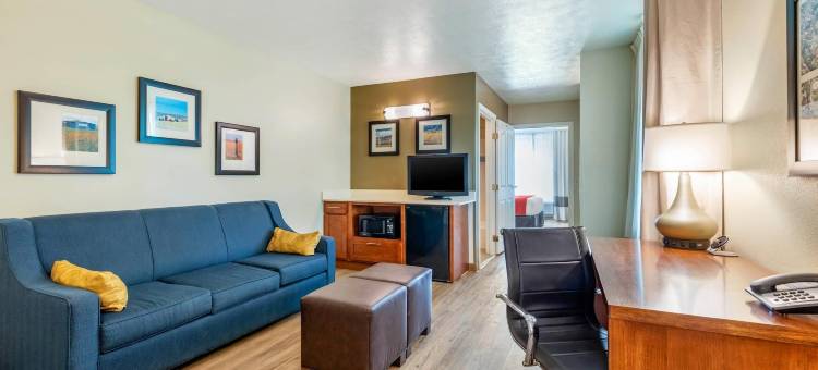 兰开斯特羚羊谷舒适套房酒店(Comfort Inn & Suites Lancaster Antelope Valley)图片