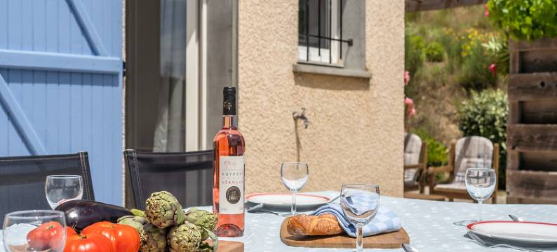 Wine Country Family Villa图片