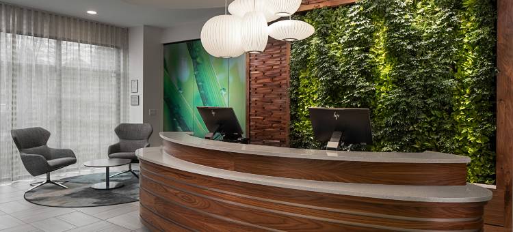 阿尔法利塔-阿瓦隆地区逸衡酒店(Even Hotel Alpharetta - Avalon Area)图片