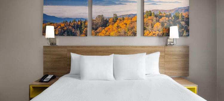 大学公园贝斯特路温德姆戴斯酒店(Days Inn by Wyndham College Park Airport Best Road)图片