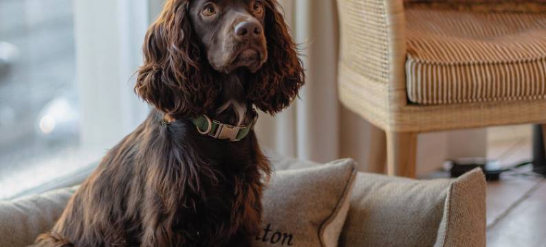 布赖顿第124号精品酒店(No.124 by GuestHouse, Brighton)图片