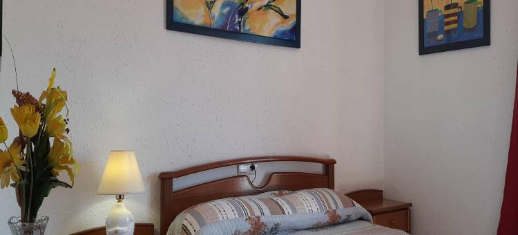 Pet-friendly villa in Lloret de Mar图片