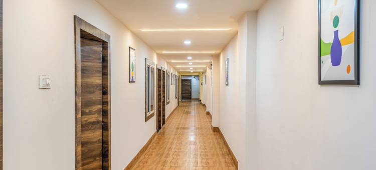 Treebo 绿橄榄(Treebo Green Olive)图片