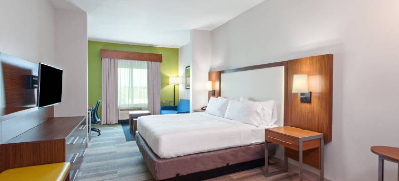 休斯顿南部医疗中心智选假日套房酒店(Holiday Inn Express & Suites HOUSTON S - MEDICAL CTR AREA by IHG)图片