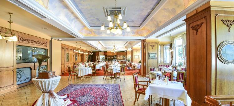 贝尔维尤莱恩酒店(Bellevue Rheinhotel)图片