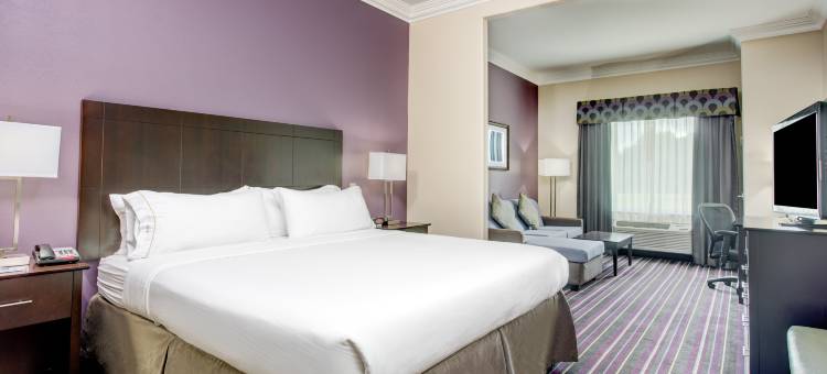 Holiday Inn Express & Suites RACELAND - 公路90 by IHG(Holiday Inn Express & Suites Raceland - Highway 90)图片