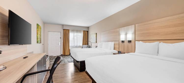 布拉德福德酒店 - 阿桑德连锁酒店(The Bradford Hotel, Ascend Hotel Collection)图片