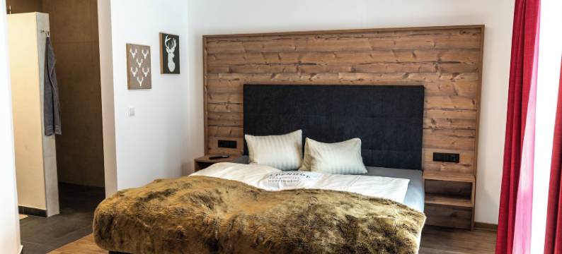 温格阿朋霍夫酒店(Apart Hotel Alpenhof Werfenweng)图片