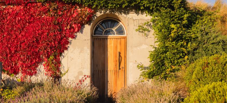 库克山湖畔度假酒店(Mt Cook Lakeside Retreat)图片