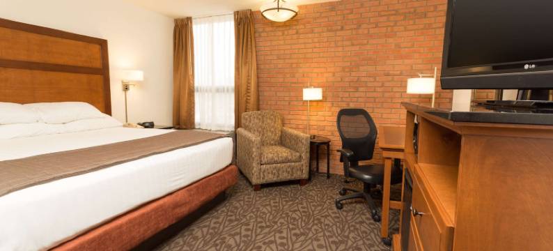 弗兰肯默斯德鲁套房酒店(Drury Inn & Suites Frankenmuth)图片