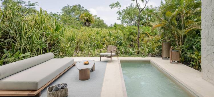 阿丽拉 玛雅可巴(Alila Mayakoba)图片