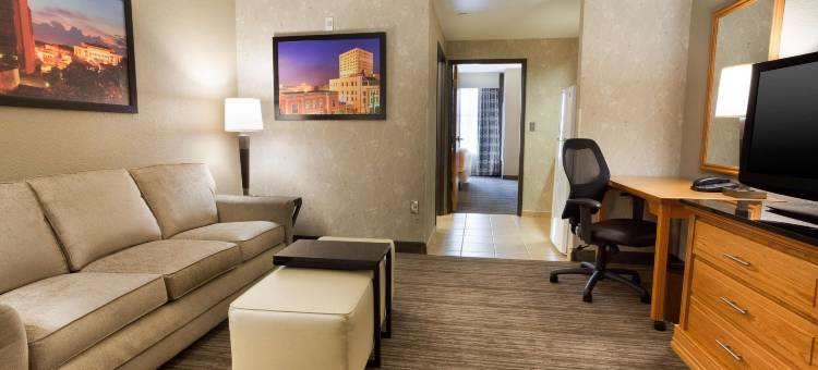 拉斐特德鲁里套房酒店(Drury Inn & Suites Lafayette La)图片