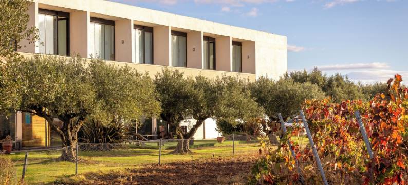 博德加芬卡洛斯阿迪诺斯酒店(Hotel-Bodega Finca de Los Arandinos)图片