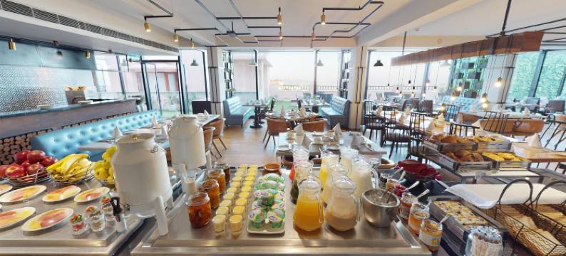 西姆拉丽筠酒店(Radisson Hotel Shimla)图片