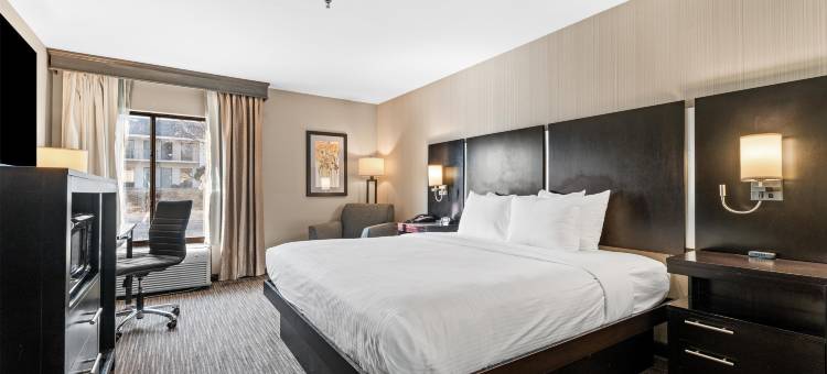 贝斯特韦斯特考特维尤酒店(Best Western Courtview Hotel)图片