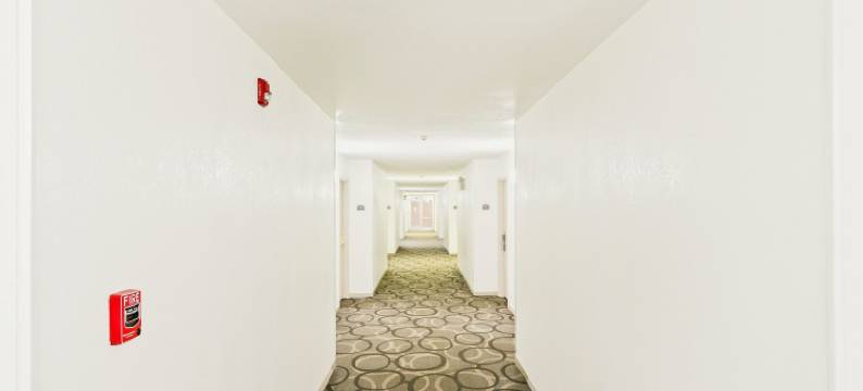 月光旅馆(Moonlight Inn)图片